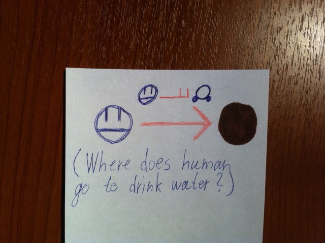 Where does human go to drink water?